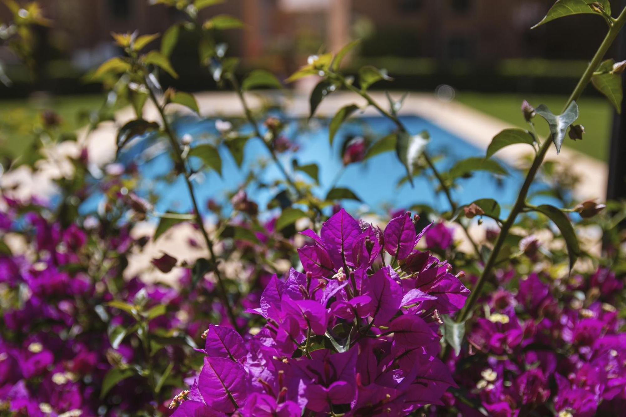 Floridamar Daire Javea Dış mekan fotoğraf